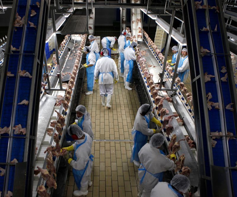 © Reuters. Processamento de carne de frango em Itatinga  (SP)