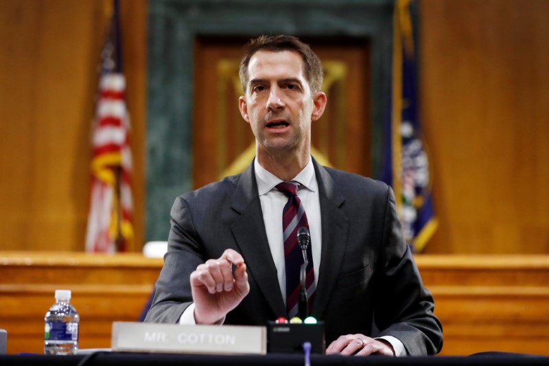 &copy; Reuters. U.S. Sen. Tom Cotton speaks during a Senate Intelligence Committee nomination hearing for Rep. John Ratcliffe, on Capitol Hill in Washington