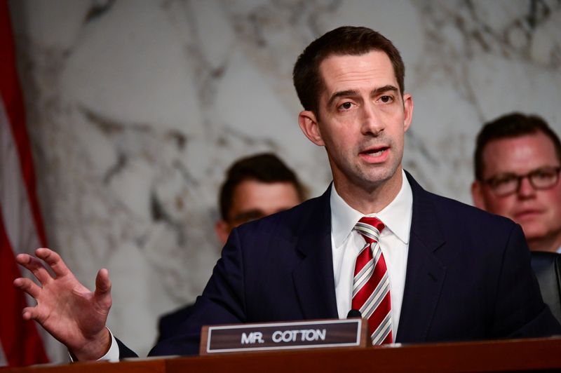 © Reuters. FILE PHOTO: Cotton speaks during Facebook digital currency hearing
