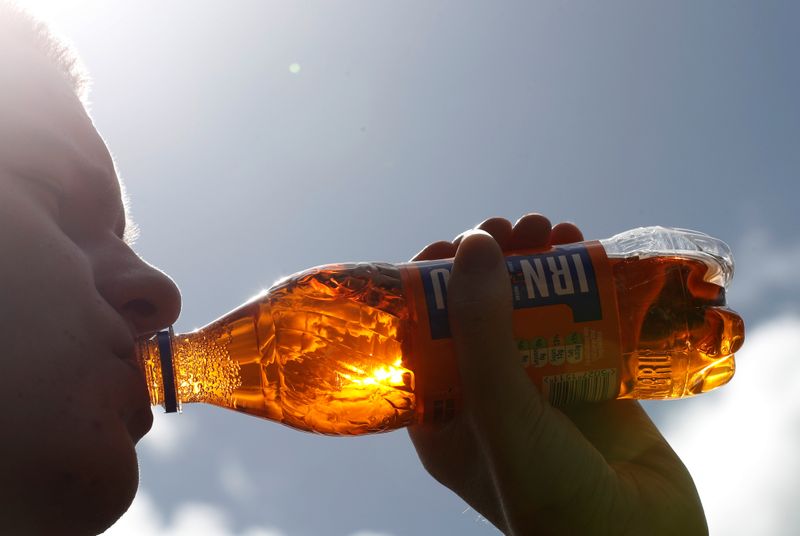 &copy; Reuters. FILE PHOTO: A man drinks from an Irn Bru bottle in Perthshire, Scotland