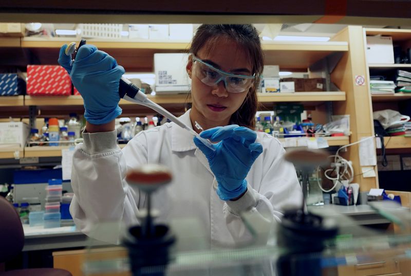 &copy; Reuters. FILE PHOTO: A researcher works in a lab at the Duke-NUS Medical School, which is developing a way to track genetic changes that speed testing of vaccines against the coronavirus disease (COVID-19), in Singapore