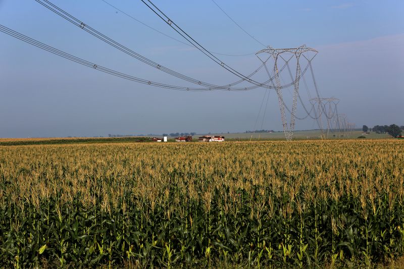 © Reuters. Plantio de milho na província de Mpumalanga, África do Sul