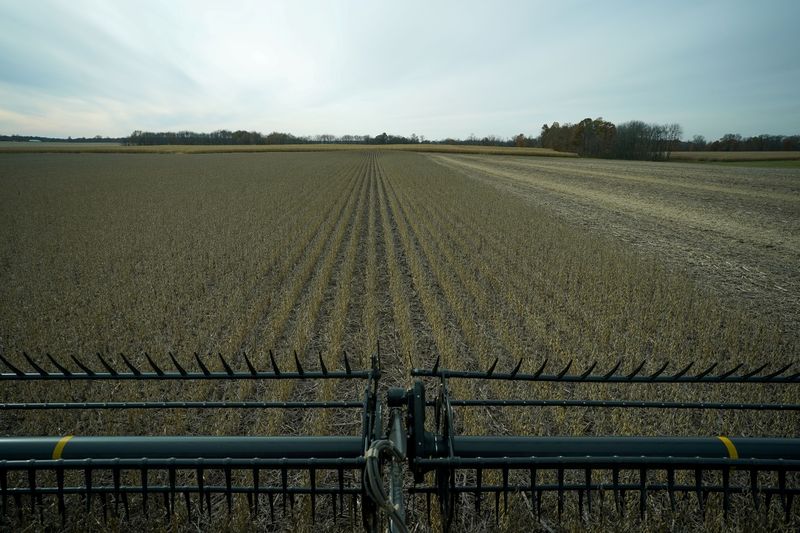 &copy; Reuters. FILE PHOTO: Soybeans are harvested from a field on Hodgen Farm in Roachdale