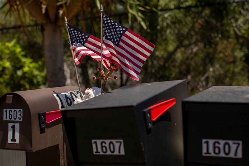 © Reuters. Residents decorate their U.S. postal mail boxes with U.S. flags during the outbreak of the coronavirus disease in California