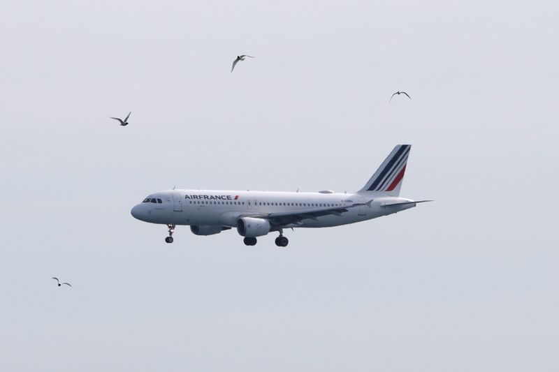 &copy; Reuters. FOTO DE ARCHIVO: Un avión de Air FrancE se prepara para aterrizar en el aeropuerto de Niza