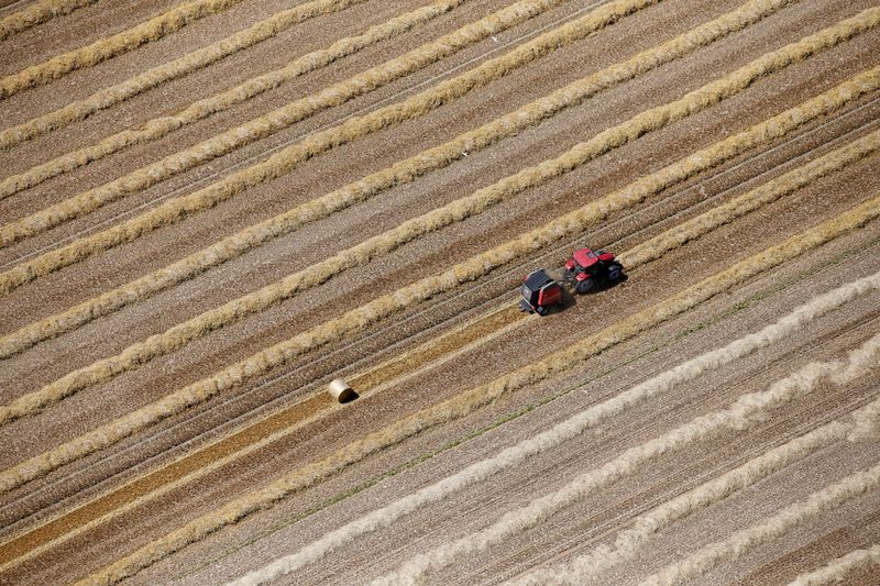 © Reuters. Visão aérea de uma fazenda em Coquelles, perto de  Calais, na França