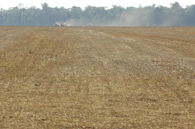 © Reuters. Fronteira entre área agrícola e floresta amazônia em Mato Grosso