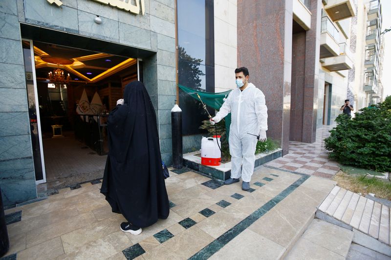 &copy; Reuters. A medical team member wearing a protective suit sprays disinfectant to sanitise a woman in the holy city of Kerbala