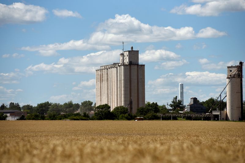 &copy; Reuters. Área plantada com trigo em Bessie, Oklahoma (EUA)