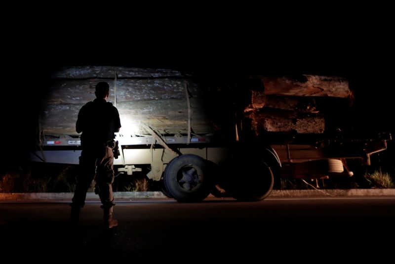 &copy; Reuters. A police officer checks illegally logged timbers near Humaita