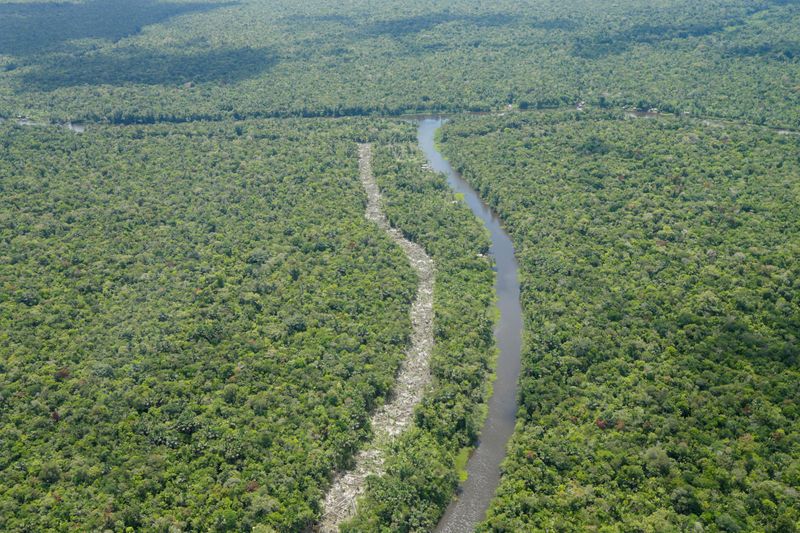 &copy; Reuters. Vista aérea da floresta amazônica no Pará, Brasil