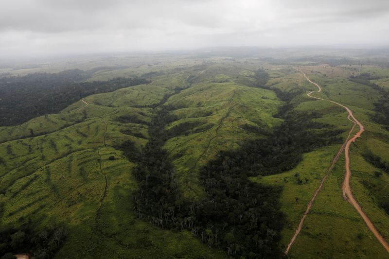 &copy; Reuters. Panoramica di una sezione della Foresta amazzonica vicino Altamira, Brasile