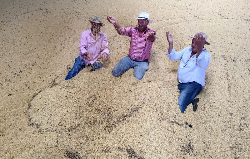 © Reuters. Produtores em meio a grãos de soja em Porto Nacional (TO)