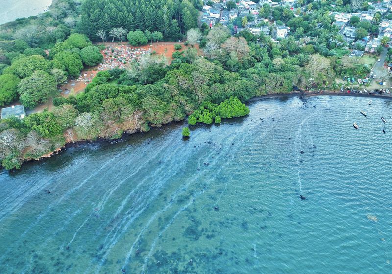 &copy; Reuters. アングル：モーリシャスの生態系に重大な危機、重油流出の打撃