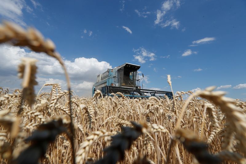 &copy; Reuters. Комбайн собирает урожай в Киевской области