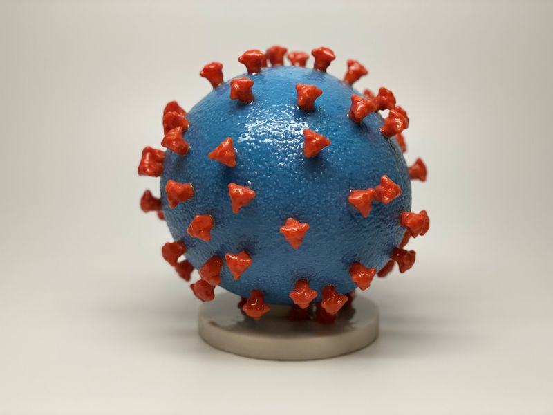 &copy; Reuters. Modelo 3-D do SARS-Cov-2, conhecido como novo coronavírus