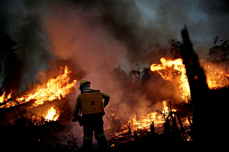 © Reuters. FILE PHOTO: An IBAMA fire brigade member attempts to control a fire in a tract of the Amazon jungle in Apui