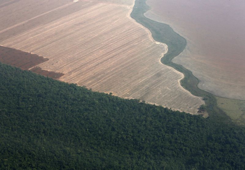 &copy; Reuters. Área de fronteira entre produção agrícola e floresta amazônia em Mato Grosso