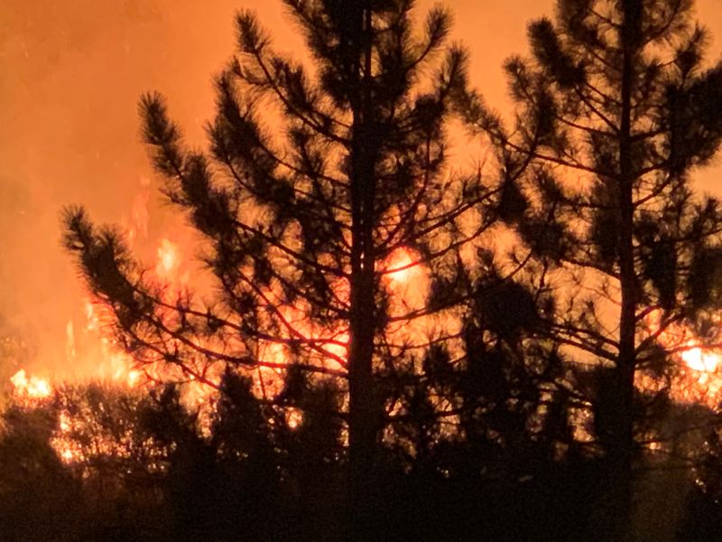 &copy; Reuters. Bobcat Fire burns in Mount Wilson, California