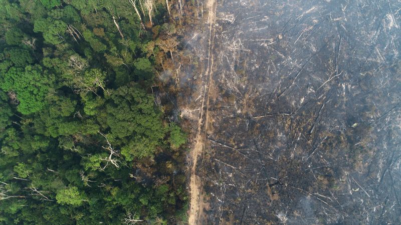 &copy; Reuters. Vista aérea da Amazônia após queimadas perto de Apuí, no Amazonas