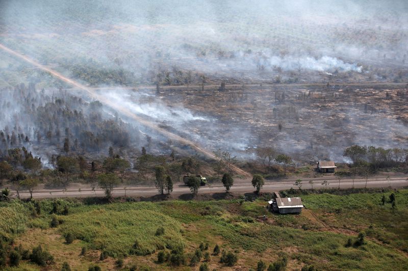 &copy; Reuters. FILE PHOTO: Wooden houses are pictured as smoke covers trees due to the forest fires near Banjarmasin in South Kalimantan province