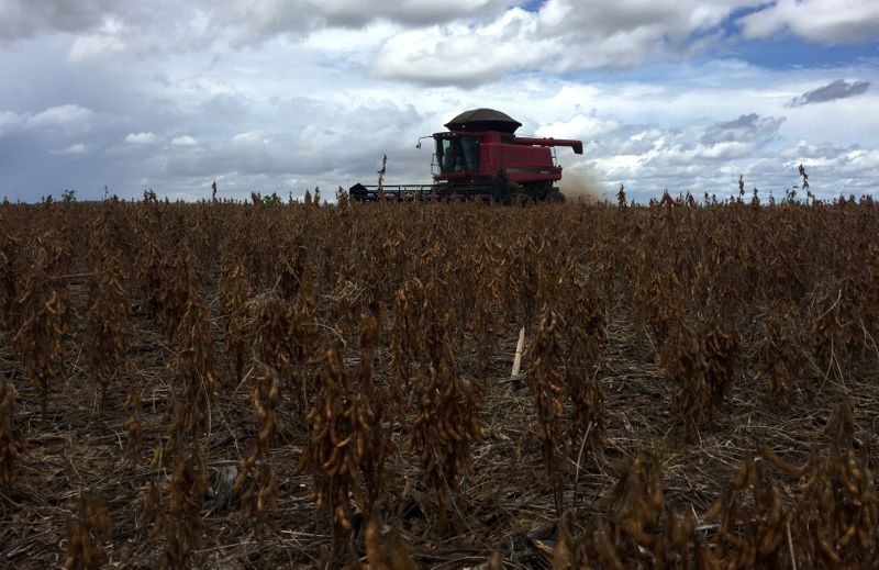 &copy; Reuters. Colheita de soja em uma fazenda em Porto Nacional, no Tocantins