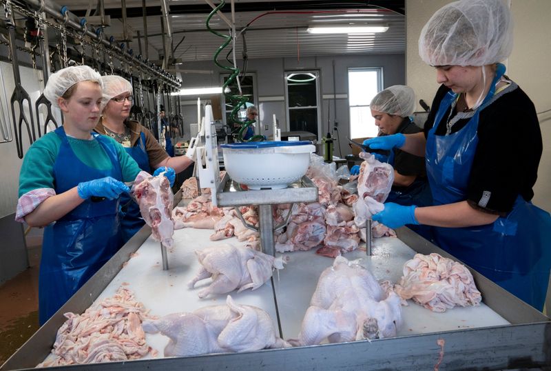 &copy; Reuters. Processadora de carne de frango em Ohio, no EUA