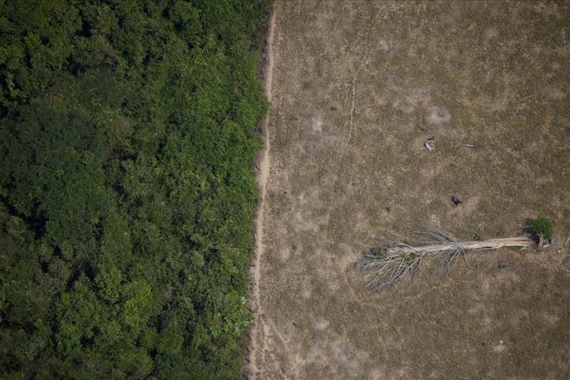 &copy; Reuters. Área desmatada da Amazônia perto de Porto Velho, em Rondônia