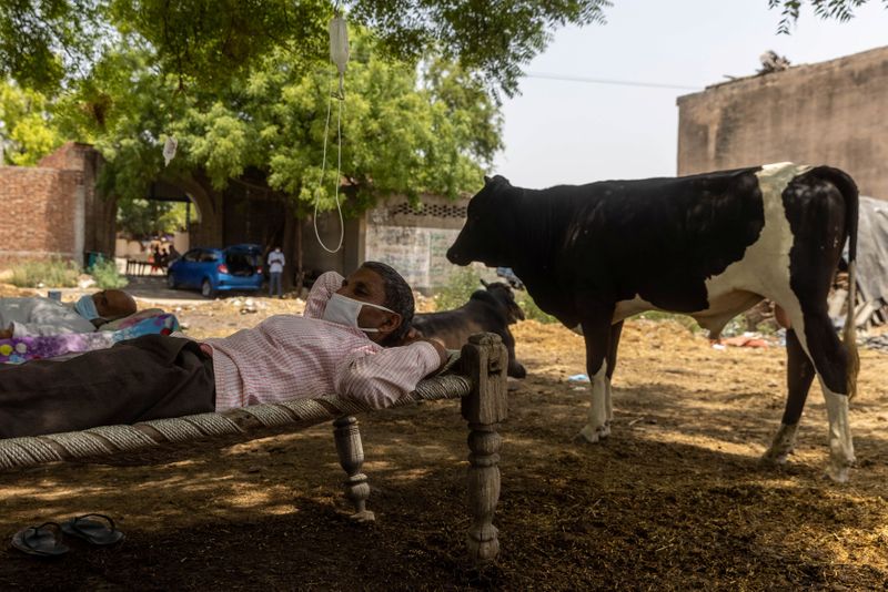 &copy; Reuters. Dans le nord de l'Inde, dans un village ravagé par le COVID-19, les malades sont allongés sur des lits de camp sous un arbre, les perfusions de glucose accrochées aux branches. /Photo prise le 16 mai 2021/REUTERS/Danish Siddiqui