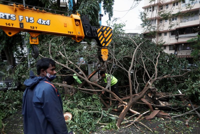 &copy; Reuters. أشخاص يحاولون إزالة أشجار اقتُلعت بفعل رياح شديدة مصاحبة للإعصار توكتاي في مومباي يوم الثلاثاء. صورة لرويترز.