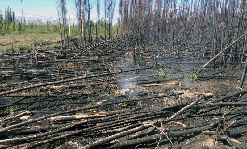 &copy; Reuters. Smoke rises from a hot spot in the Swan Lake Fire scar at the Kenai National Wildlife Refuge, Alaska, U.S., June 16, 2020. Photo by Dan White/AlaskaHandout via REUTERS 