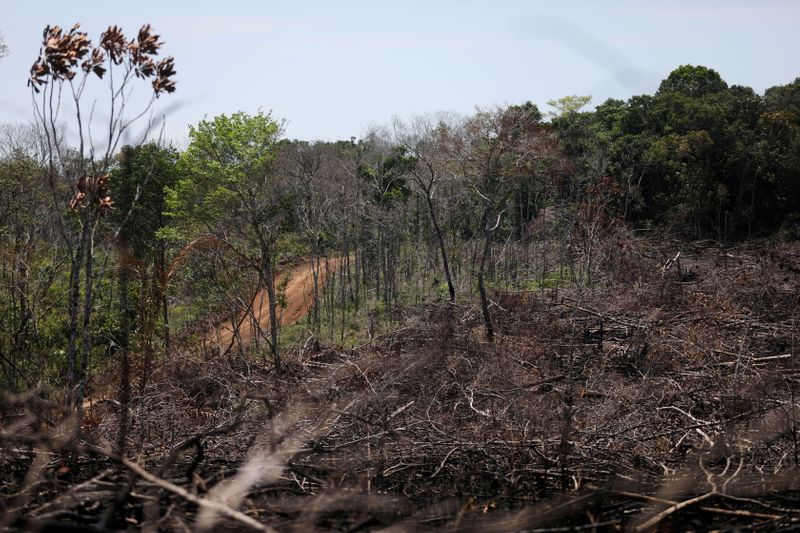 &copy; Reuters. FILE PHOTO: A view of a deforested area in the middle of the Yari plains, in Caqueta, Colombia March 2, 2021. REUTERS/Luisa Gonzalez/File Photo