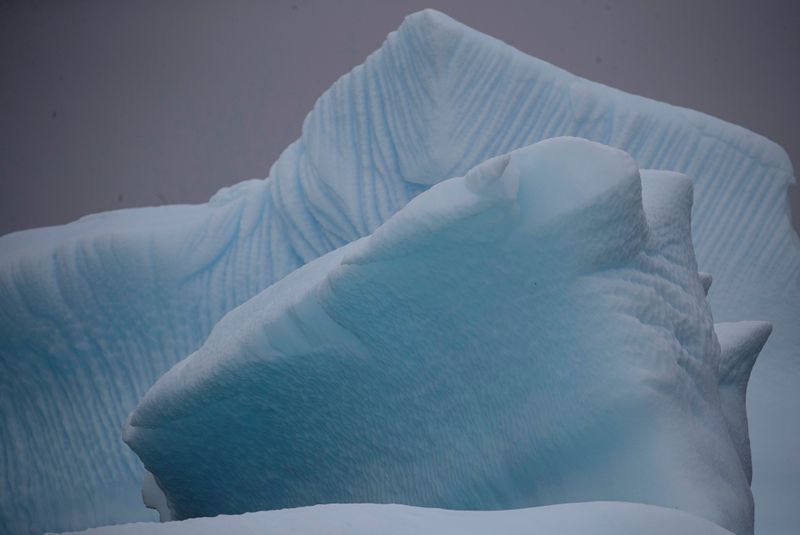 &copy; Reuters. An iceberg floats near Two Hummock Island, Antarctica, February 2, 2020. Picture taken February 2, 2020. REUTERS/Ueslei Marcelino
