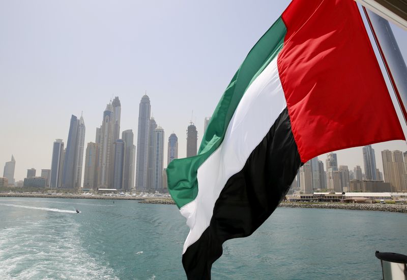 &copy; Reuters. العلم الإمارات يرفرف فوق زورق في مارينا دبي بصورة من أرشيف رويترز.