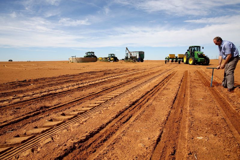 &copy; Reuters. FILE PHOTO: A farmer inspects the soil ahead of planting at a maize field in Wesselsbron, a small maize farming town in the Free State province of South Africa, January 13, 2016. REUTERS/Siphiwe Sibeko/File Photo