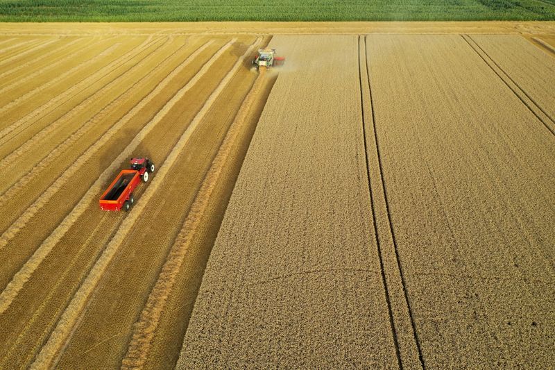 &copy; Reuters. Produtor francês em colheita de trigo. 
19/07/2020
 REUTERS/Pascal Rossignol