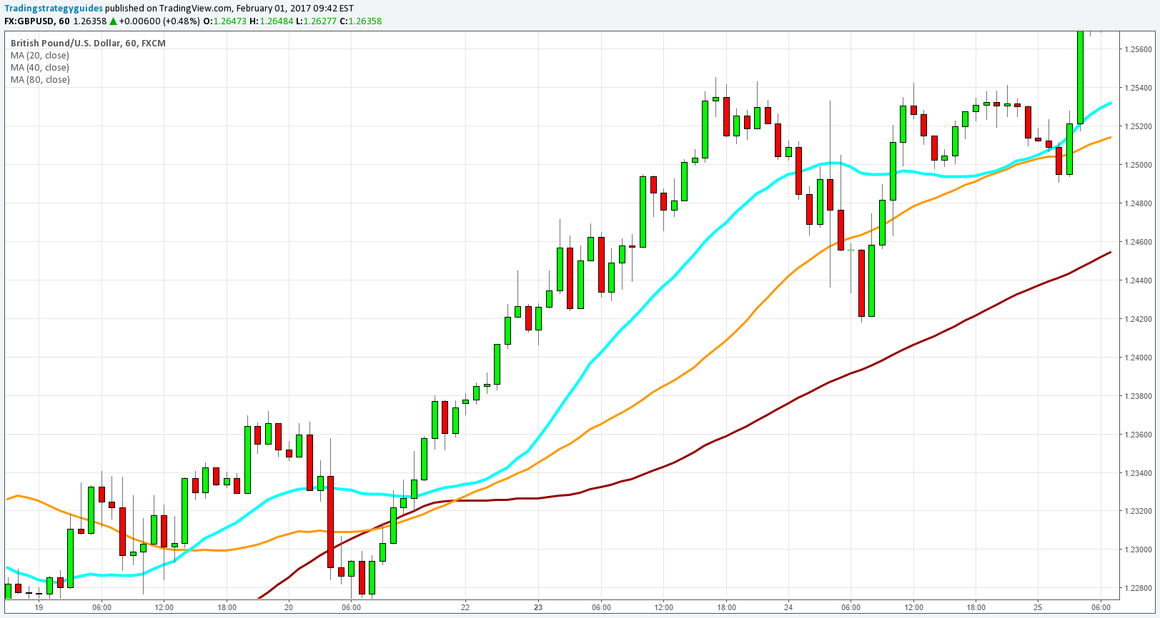 Karina fabi forex