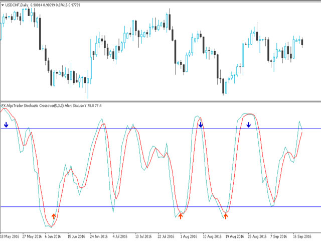 Karina fabi forex